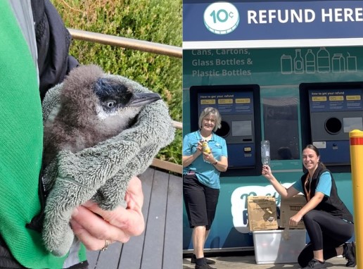 left half is baby penguin wrapped in blanket, the right side is 2 team members of SWIRL using recycling bin